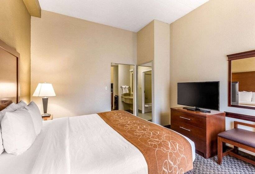 套房, Comfort Suites Columbia Gateway