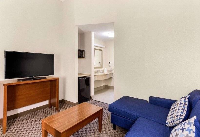套房, Comfort Suites Columbia Gateway