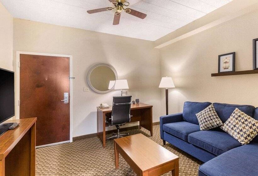 套房, Comfort Suites Columbia Gateway