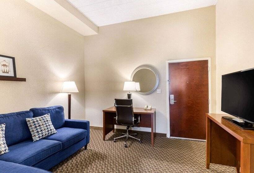 套房, Comfort Suites Columbia Gateway