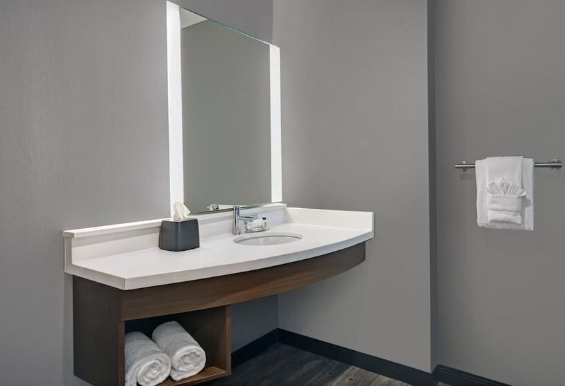 Студия Стандарт Двуспальная Кровать, Staybridge Suites Houston Galleria Area By Ihg