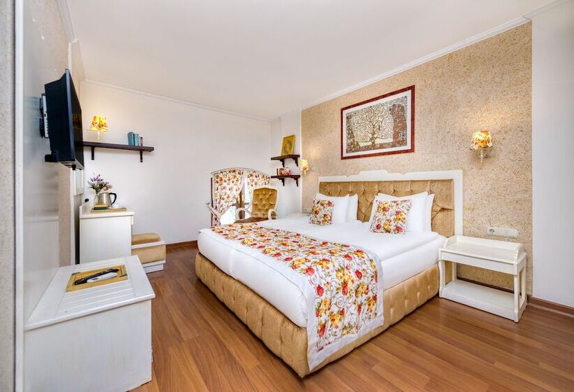 Camera Standard, Adalya Port