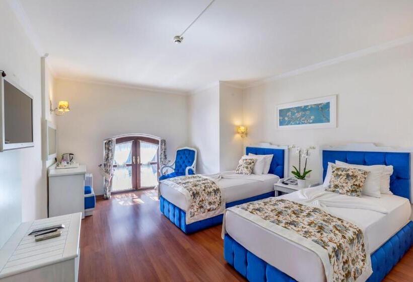 Camera Standard, Adalya Port