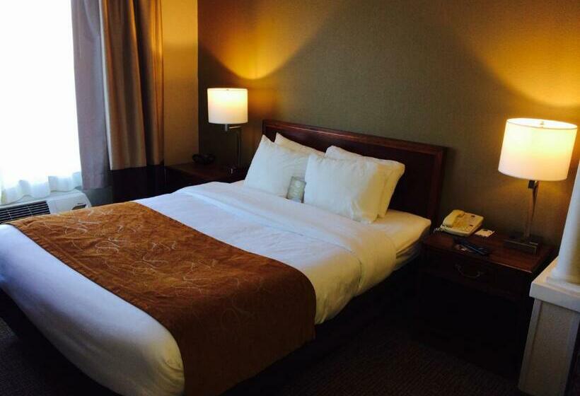 스위트 킹사이즈 침대, Comfort Suites Grandville   Grand Rapids Sw