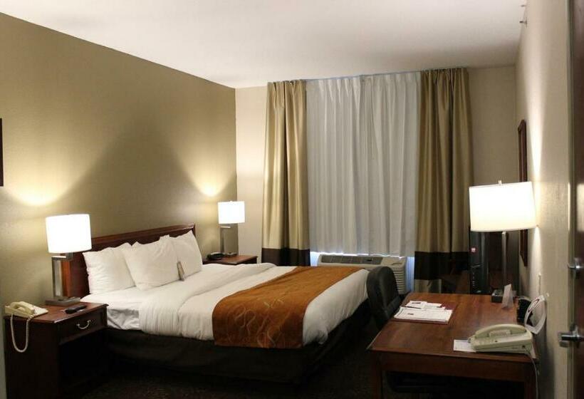 스위트 킹사이즈 침대, Comfort Suites Grandville   Grand Rapids Sw