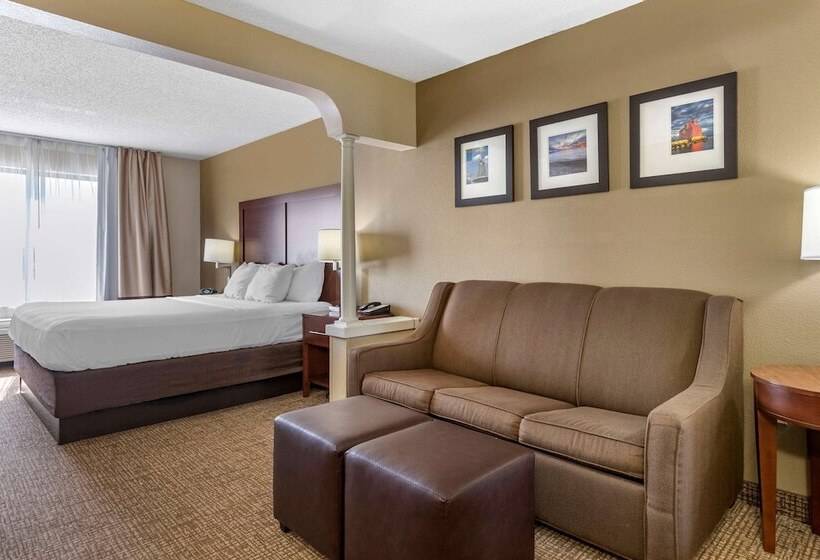 스위트, Comfort Suites Grandville   Grand Rapids Sw