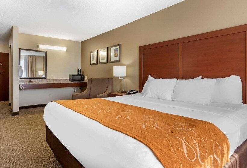 장애인을 위한 스위트, Comfort Suites Grandville   Grand Rapids Sw