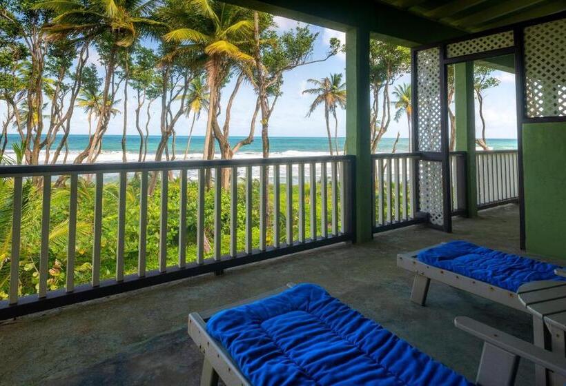 اتاق سوپریور با تخت بزرگ, Rosalie Bay Eco Resort & Spa