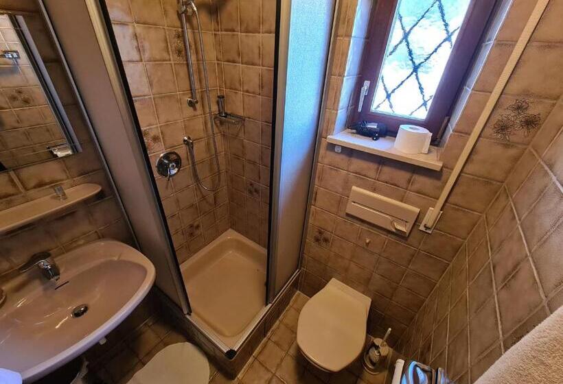اتاق استاندارد یک نفره, Alpenpension Bergidyll