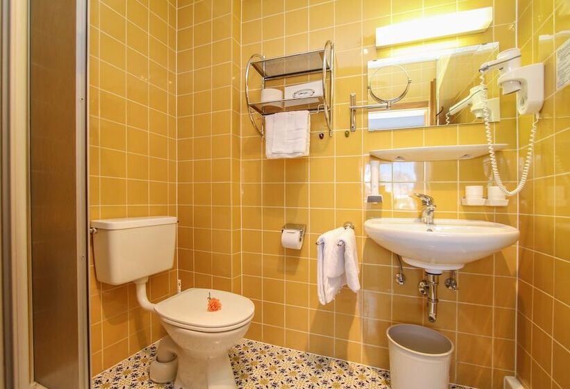 Номер Комфорт Индивидуальный, Tiroler Adler Bed & Breakfast