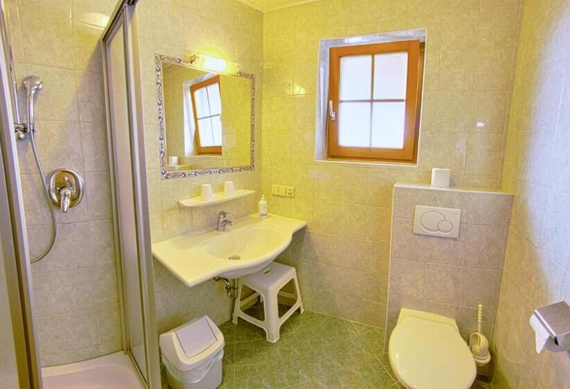 Номер Стандарт с Балконом, Pension Bergbauernhof Irxner