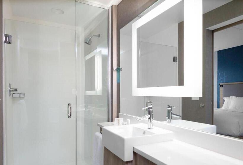 Люкс Кровать Кинг, Springhill Suites By Marriott Durham City View