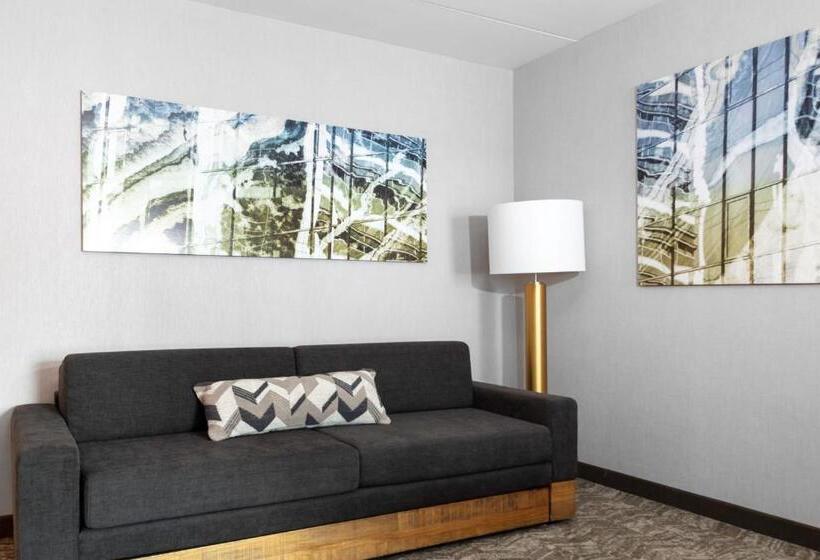 Люкс Кровать Кинг, Springhill Suites By Marriott Durham City View