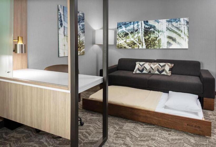 Люкс Адаптированный для Инвалидов, Springhill Suites By Marriott Durham City View