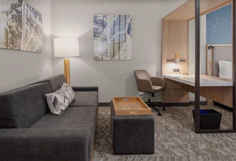 Люкс, Springhill Suites By Marriott Durham City View