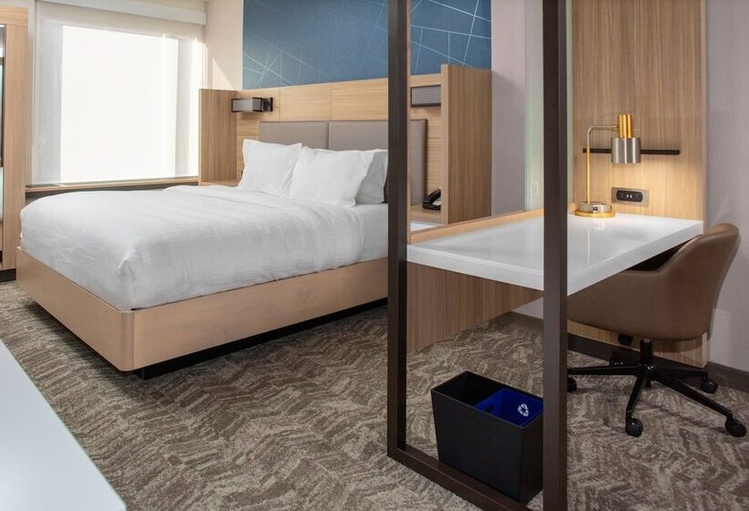 Люкс Адаптированный для Инвалидов, Springhill Suites By Marriott Durham City View