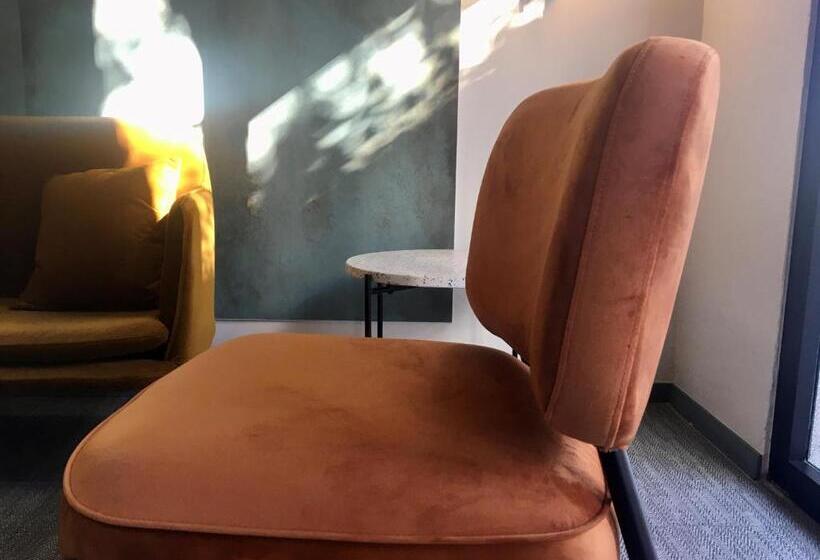 标准单人间, Md Modern Hotel   Jardines