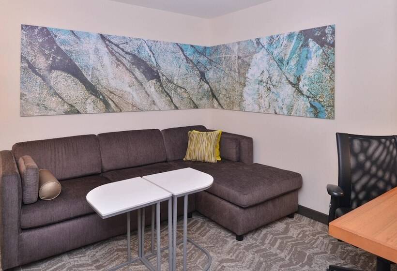 Студия Стандарт, Springhill Suites Las Vegas Henderson