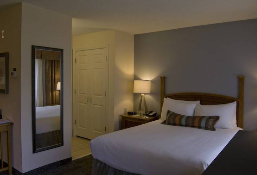 Studio Standard Lit Double, Staybridge Suites Houston West   Energy Corridor, An Ihg