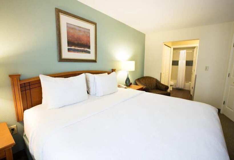 Suite Adaptée aux Personnes à Mobilité Réduite, Staybridge Suites Houston West   Energy Corridor, An Ihg