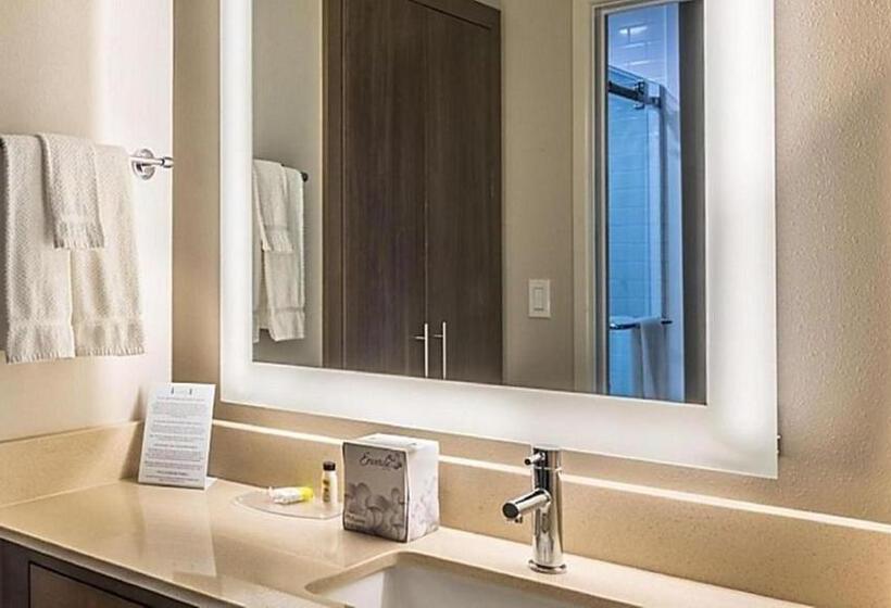 Suite Lit King, Staybridge Suites Houston West   Energy Corridor, An Ihg