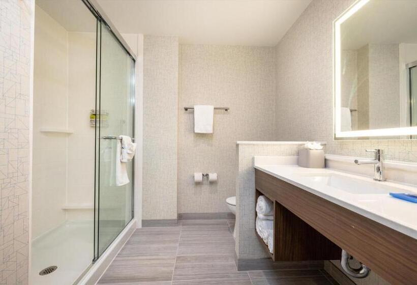 带大床的标准间, Holiday Inn Express & Suites   San Jose Silicon Valley, An Ihg