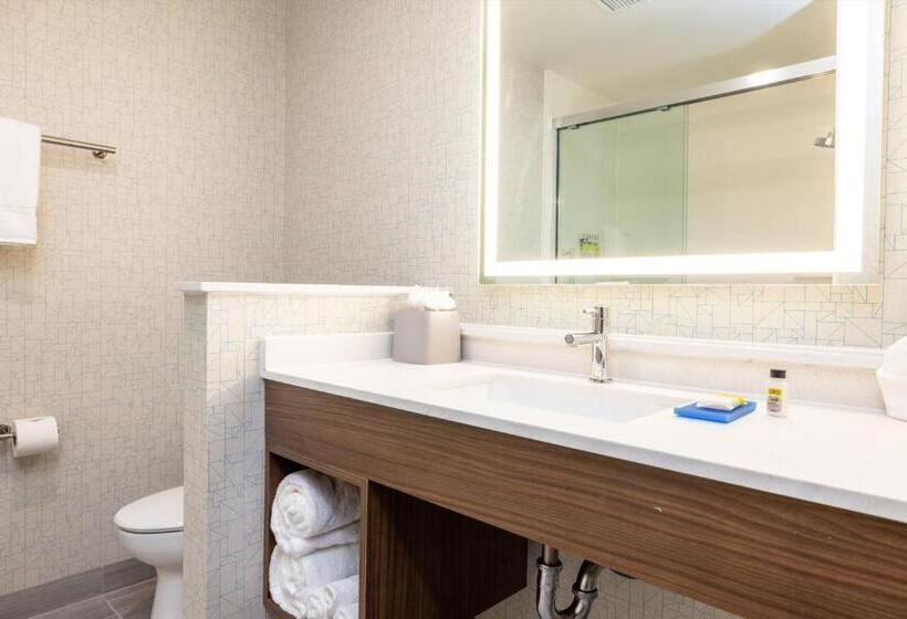 标准间, Holiday Inn Express & Suites   San Jose Silicon Valley, An Ihg