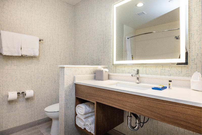 适合残疾人士使用的套间, Holiday Inn Express & Suites   San Jose Silicon Valley, An Ihg