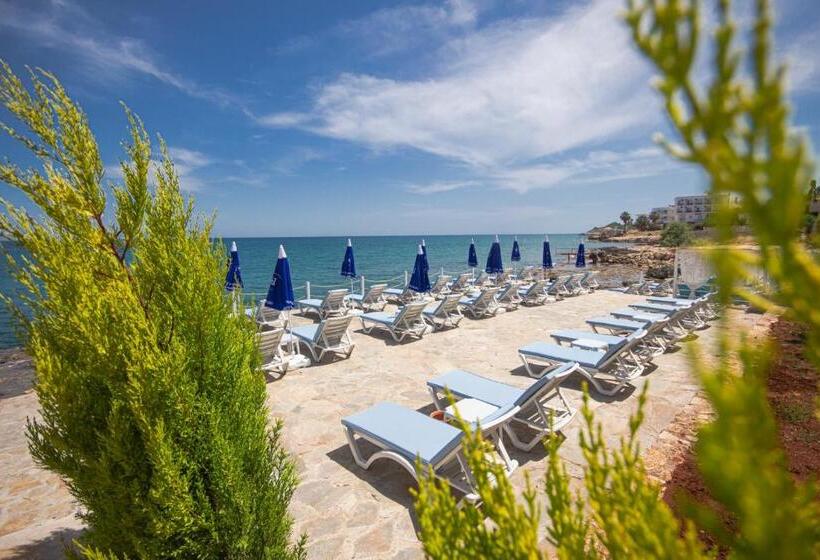 اتاق استاندارد, Mojo Otel Beach