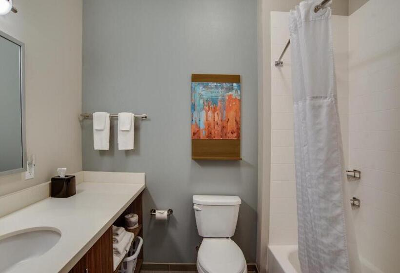 Люкс Кровать Кинг, Mainstay Suites Carlisle  Harrisburg