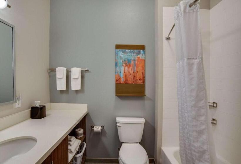 스위트 킹사이즈 침대, Mainstay Suites Carlisle  Harrisburg