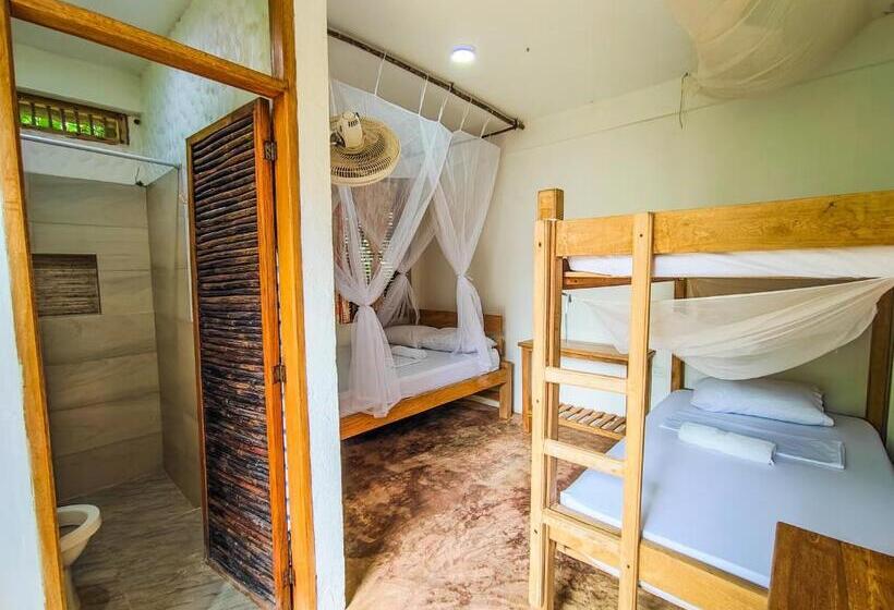 Четырехместный Номер Стандарт, Maria Moñitos Hostel