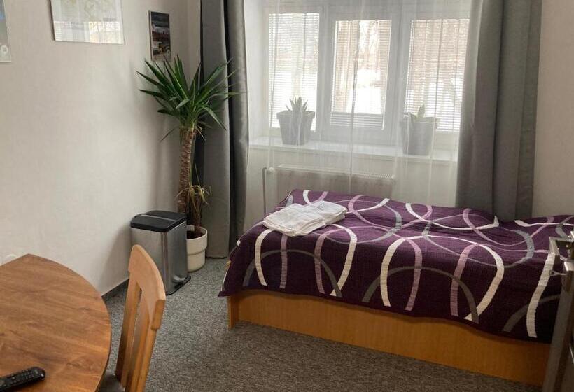 Четырехместный Номер Стандарт, Penzion Grasel
