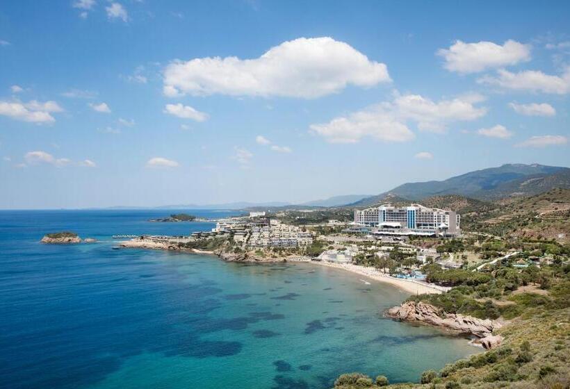 Номер Deluxe Внутренний, Aria Claros Beach & Spa Resort – All Inclusive