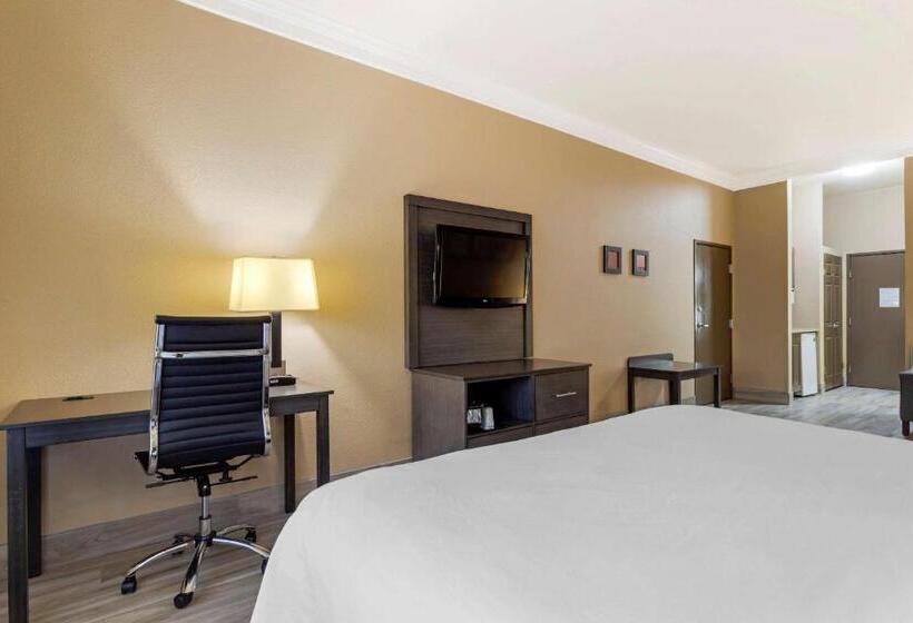 스위트 킹사이즈 침대, Comfort Suites Kingwood Houston North