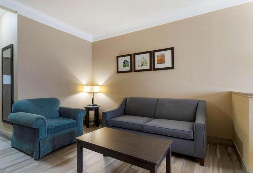 스위트 킹사이즈 침대, Comfort Suites Kingwood Houston North
