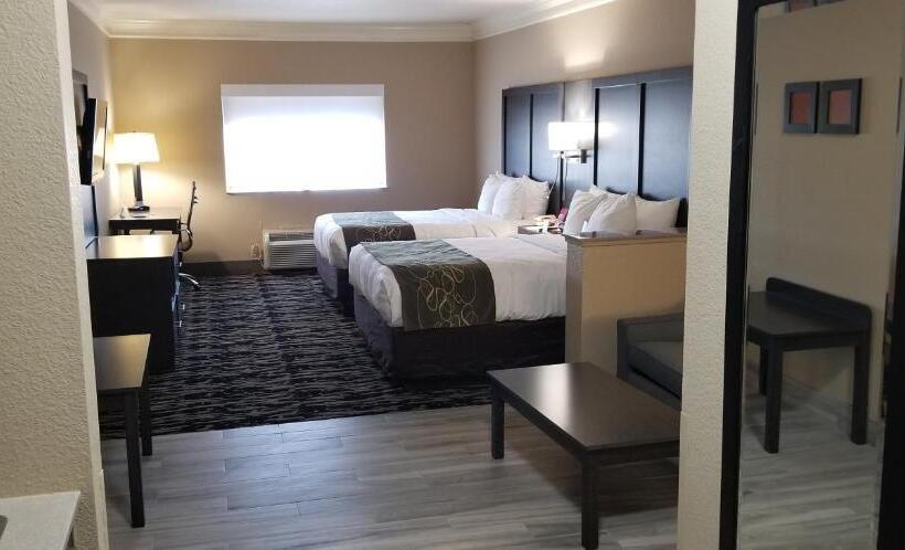 장애인을 위한 스위트, Comfort Suites Kingwood Houston North