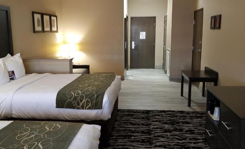장애인을 위한 스위트, Comfort Suites Kingwood Houston North