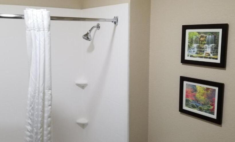 스위트, Comfort Suites Kingwood Houston North
