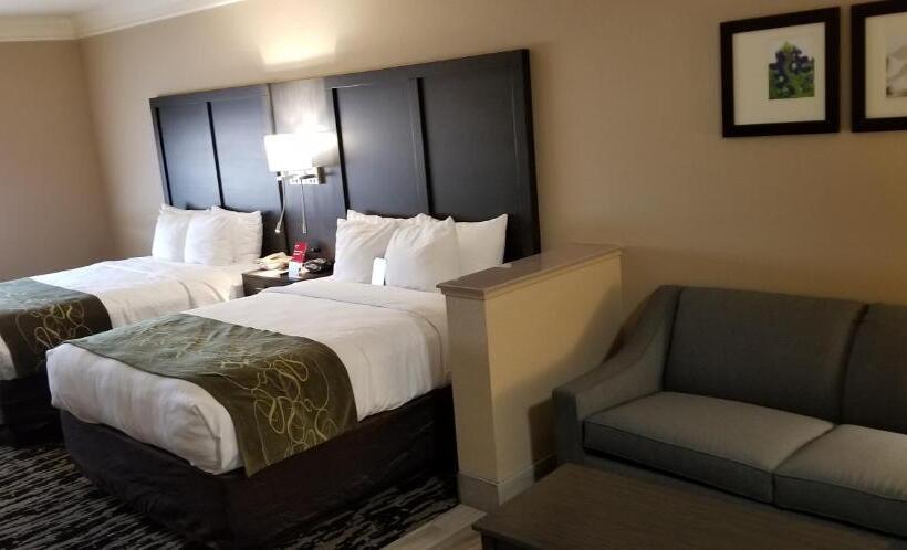 스위트, Comfort Suites Kingwood Houston North