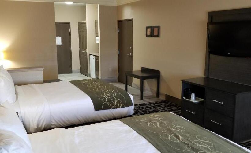 장애인을 위한 스위트, Comfort Suites Kingwood Houston North