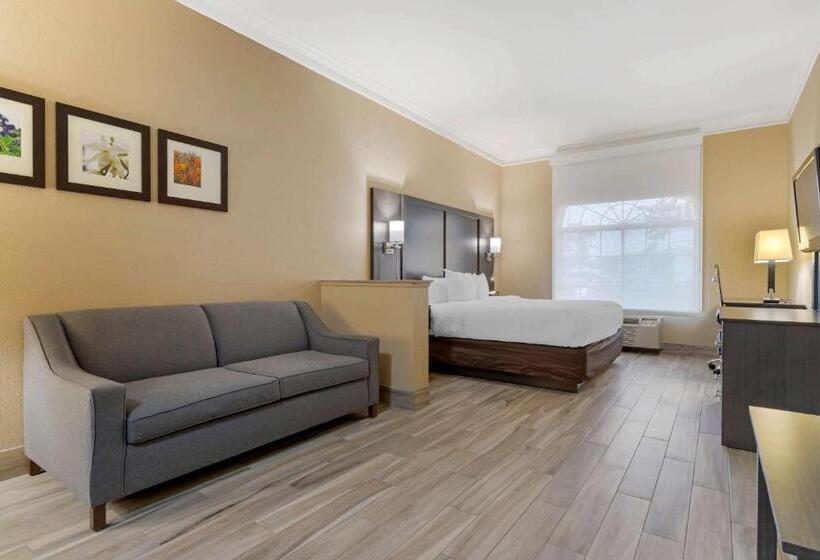 장애인을 위한 스위트, Comfort Suites Kingwood Houston North