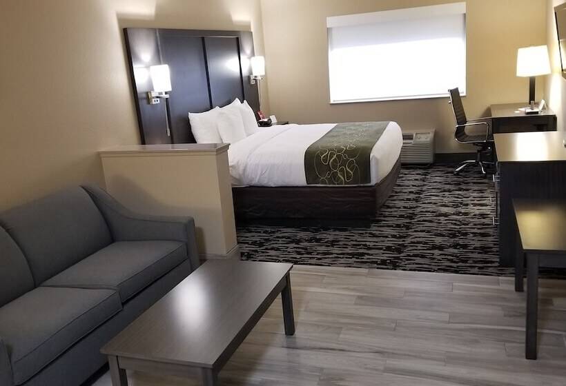 스위트, Comfort Suites Kingwood Houston North