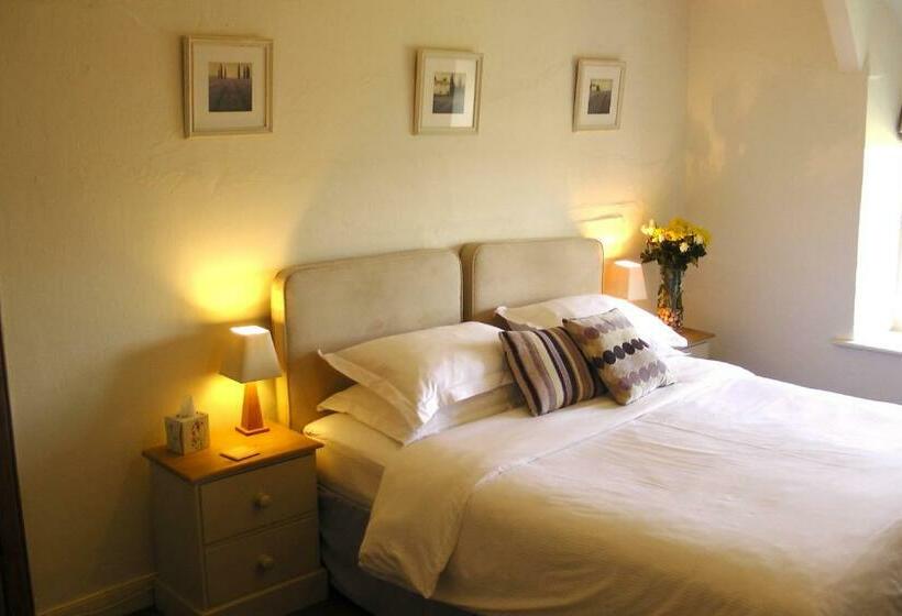 Номер Deluxe, Lellizzick Bed And Breakfast