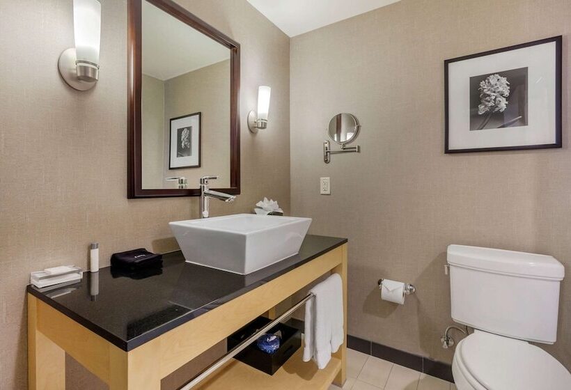 Люкс Адаптированный для Инвалидов, Cambria Hotel Denver International Airport