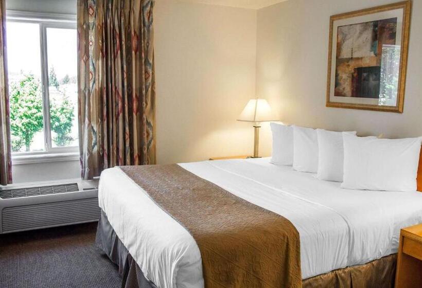 Номер Стандарт, Quality Inn & Suites Longview Kelso