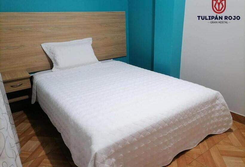 חדר סטנדרט יחיד, Hostal Terraoro