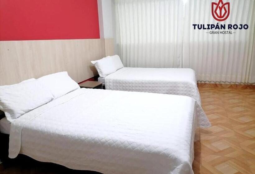 חדר סטנדרט שתי מיטות זוגיות, Hostal Terraoro