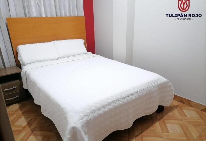 חדר סטנדרט, Hostal Terraoro