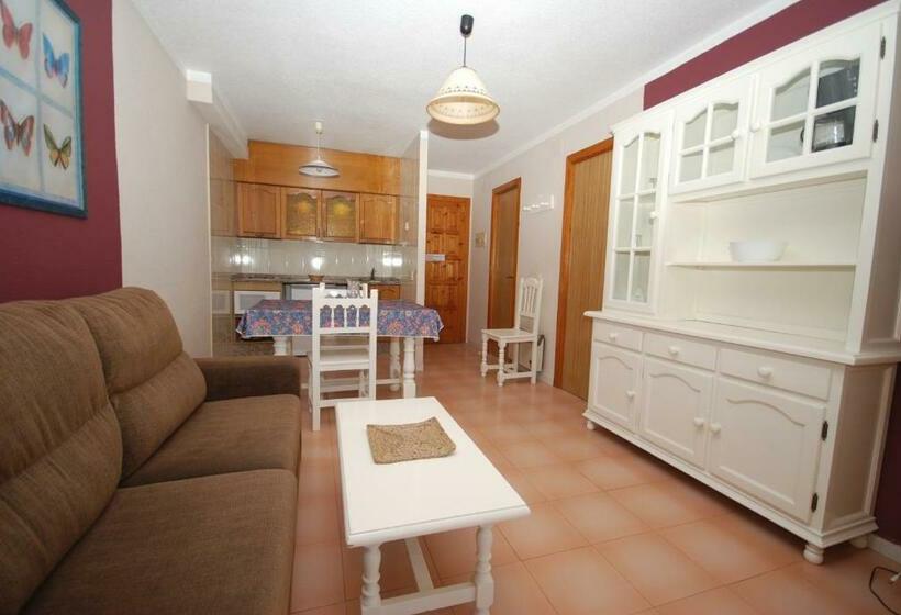 Апартаменты 1 Спальня, Apartamentos Playa Romana Park